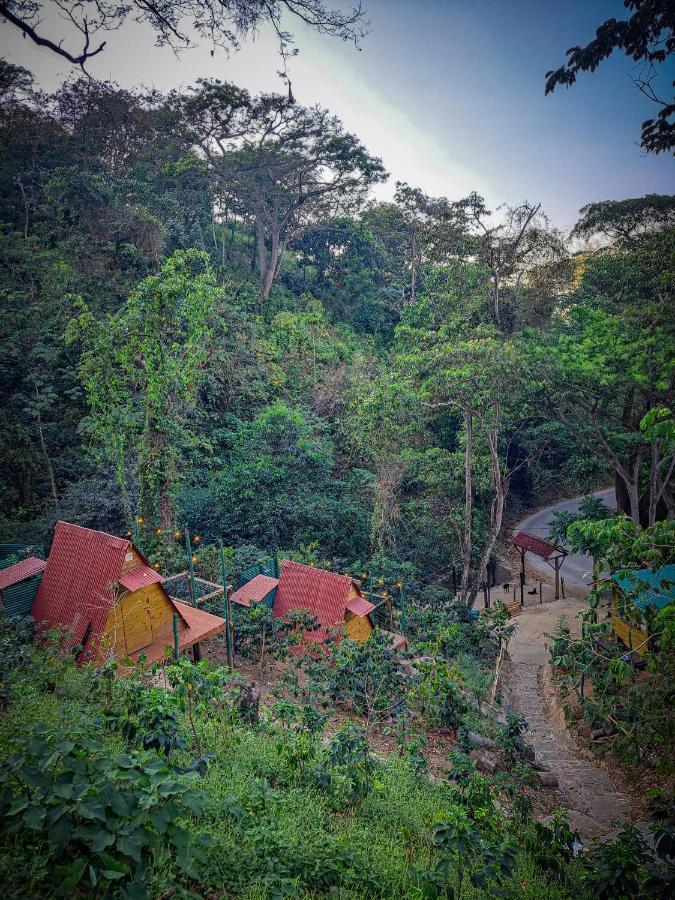 Eco Cabin - Tanoa Minca Hotel Exterior foto